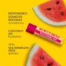 BURT’S BEES 100% looduslik huulepalsam arbuusiga, 4,25 gr - Image 2
