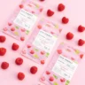 BIELENDA ECO SORBET Hüaluroonhappega niisutav ja rahustav näomask vaarikaekstraktiga, 8g - Image 2