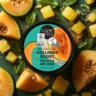 ORGANIC SHOP Orgaanilise meloni ja taimse kollageeniga kehakoorija Melon Collagen, 250ml - Image 2