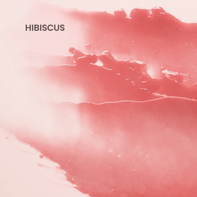 Burt's Bees Tooniv huulepalsam, Hibiscus - Image 2